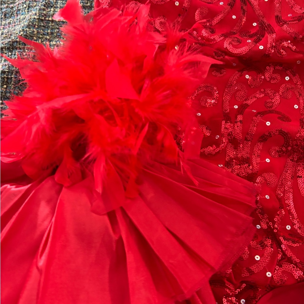 Weissman Matadora red sequin & feather bustle adult L ♥️ - Picture 2 of 6
